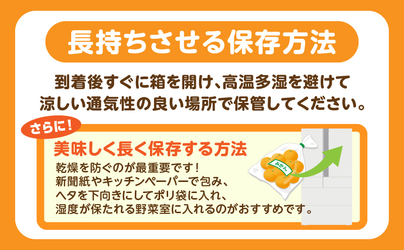【先行受付】大玉みかん約9kg | 大玉みかん 大玉 みかん ミカン 蜜柑 オレンジ 柑橘 柑橘系 果物 フルーツ 青果 おすすめ お取り寄せ ギフト 香川県 三木町 |_mk006-036