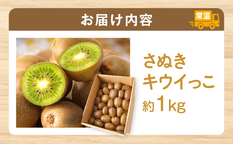 【先行受付】香川県オリジナルキウイフルーツ「さぬきキウイっこ」約1kg【香川県共通返礼品】 | キウイ キウイフルーツ 果物 フルーツ 青果 青果物 さぬきキウイっこ 果実 贈答 贈り物 ギフト 甘い 糖度が高い 季節のフルーツ 旬 おすすめ 香川県 三木町 |_mk006-053