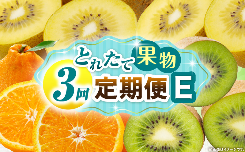 とれたて果物 3回定期便E 果物 フルーツ 果物定期便 フルーツ定期便 定期便 キウイ デコポン濃厚 旬の果物 定期 人気 おすすめ 贈答 贈り物 青果物 糖度 香川県 _mk165-t069