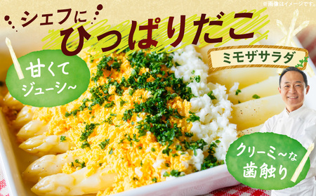 【先行予約】ホワイトアスパラガス約1kg（6〜7月出荷）|アスパラ アスパラガス ホワイトアスパラガス 新鮮 素材の味 夏野菜 直送 香川県 三木町|_mk002-003