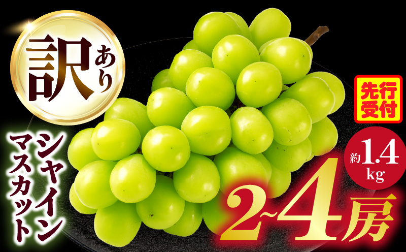 【2026年8月18日～10月20日配送】訳ありシャインマスカット 約1.4kg入り　2～4房|訳あり マスカット ぶどう ブドウ 葡萄 果物 フルーツ 人気 香川 香川県 三木町 種なし 皮ごと食べられる ジューシー 糖度が高い 先行受付 先行予約 季節限定 旬 おすすめ|_mk006-049-2