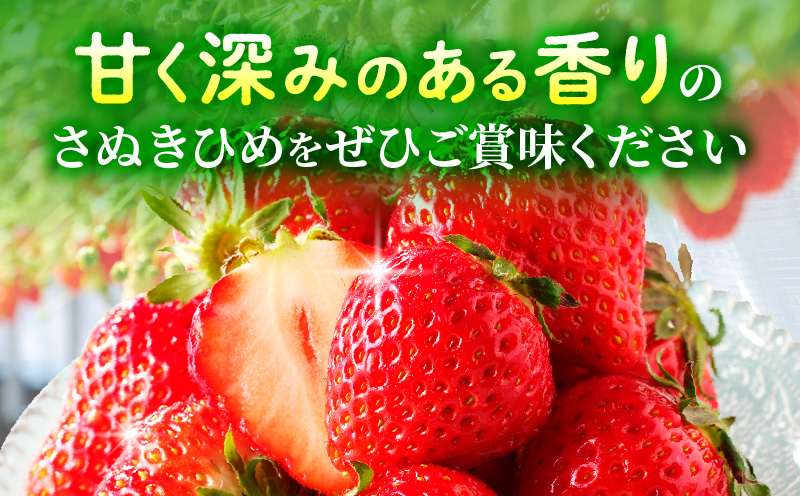 【先行受付】【年内発送】三木町地域いちご部会「さぬきひめ」約500gDXパック  スイーツ いちご ストロベリー イチゴ さぬき姫 さぬきひめ 苺 甘い 大粒 冷蔵 フルーツ 旬 果物 香川県 デザート 青果物 贈答 プレゼント 贈り物 おすすめ mk006-085