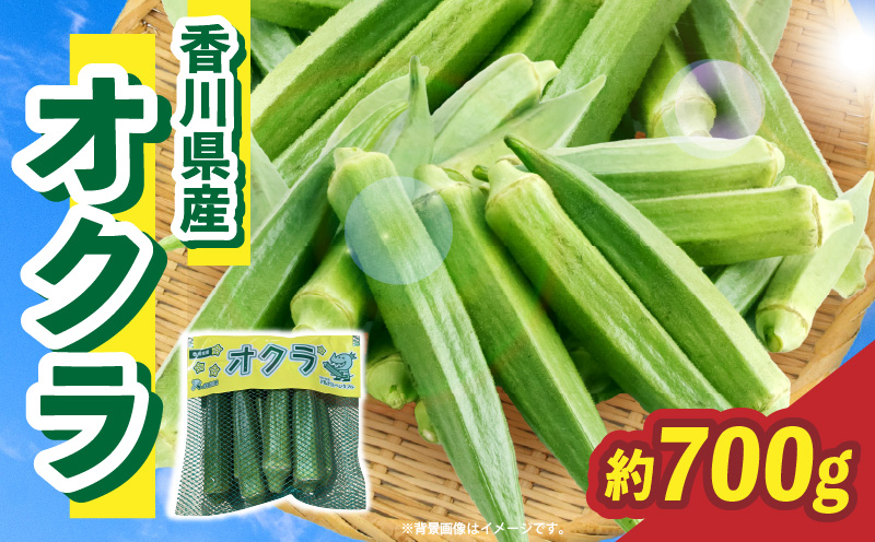 オクラ 約700g |オクラ 野菜 ネバネバ 旬の野菜 旬 季節の野菜 季節 贈答 贈り物 ギフト プレゼント おすそ分け グルメ お取り寄せ 人気 おすすめ 特産 特産品 生鮮食品 香川県 三木町 |_mk006-121