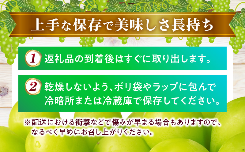 【先行受付】温室シャインマスカット 1房化粧箱入り(530g以上)  マスカット ハウス ぶどう ブドウ 葡萄 果物 フルーツ 人気 香川 香川県 三木町 種なし 皮ごと食べられる ジューシー 化粧箱 旬 おすすめ mk006-104