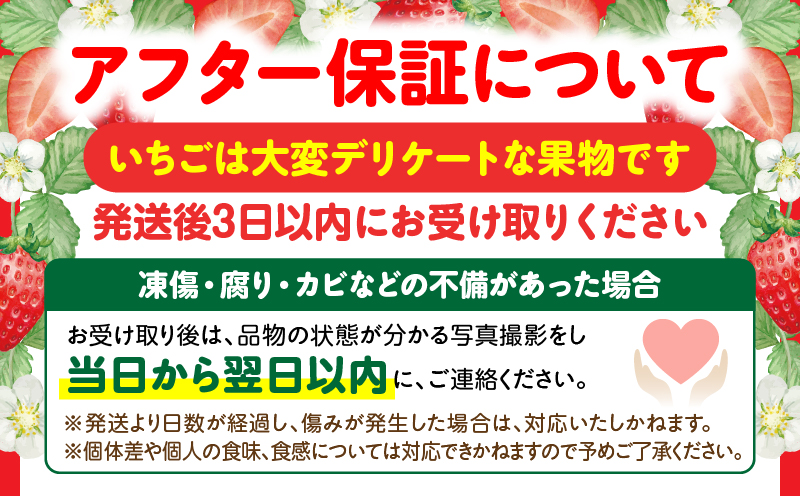 完熟さぬき姫 約600g | いちご 苺 さぬき姫 さぬきひめ 香川県オリジナル 希少 甘い 完熟 フルーツ 果物 旬 香川県 三木町 |_mk035-007