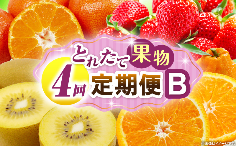 とれたて果物 4回定期便B 果物 フルーツ 果物定期便 フルーツ定期便 定期便 いちご キウイ デコポン みかん 濃厚 旬の果物 定期 人気 おすすめ 贈答 贈り物 青果物 糖度 香川県 _mk165-t075