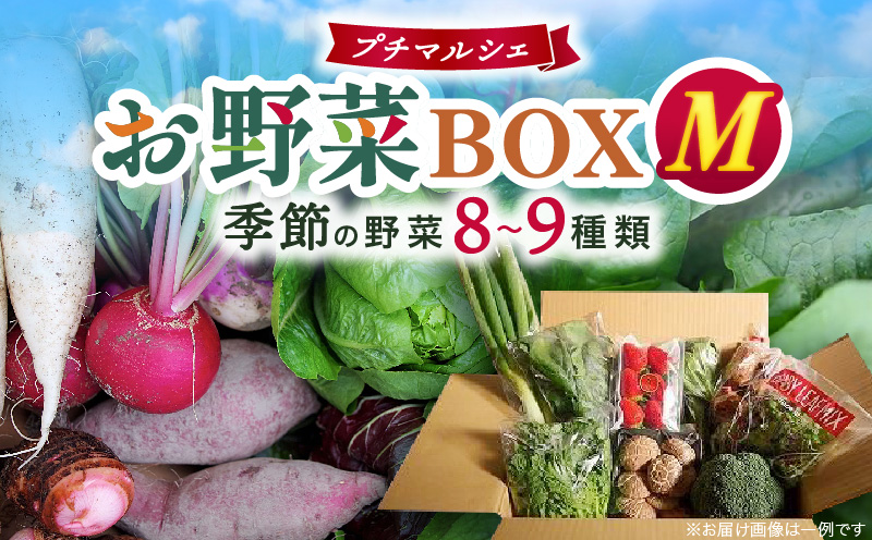 プチマルシェお野菜ボックス(Ｍ)　季節の野菜８〜９種類　≪　IDOMALL　セレクト≫|野菜 新鮮 冷蔵 旬 香川県 野菜ボックス 季節の野菜 青果物 季節 マルシェ 冷蔵 おすすめ|_mk048-004