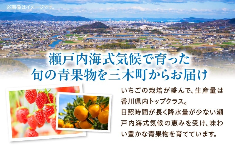 さぬき旬のフルーツ大満足　4回定期便|果物 フルーツ 青果 青果物 いちご みかん シャインマスカット キウイフルーツ さぬきひめ 小原紅早生みかん マスカット キウイ 旬の果物 季節の果物 贈答 贈り物 ギフト 化粧箱 取り寄せ グルメ 香川県 三木町 送料無料|_mk006-t008d