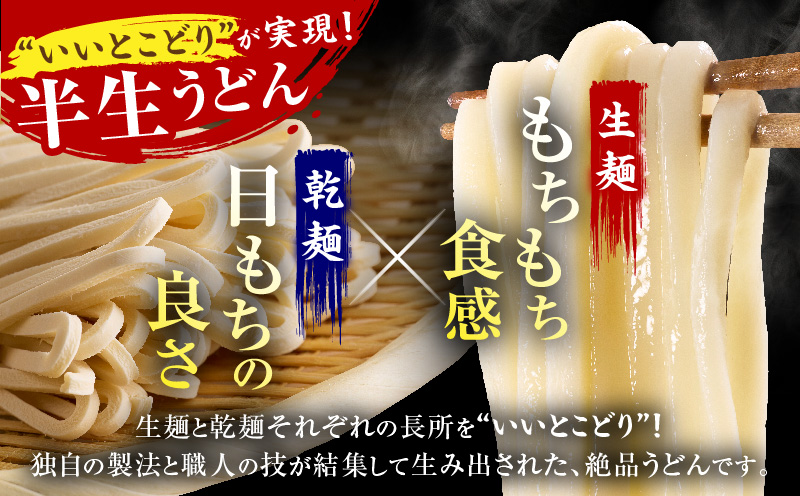 ざるうどん半生10袋入（つゆ付）|うどん さぬきうどん 讃岐うどん ざるうどん 細麺 半生うどん コシ めんつゆ付き かけ 釜あげ ぶっかけ 伝統 香川 半生 三木町|_mk041-006
