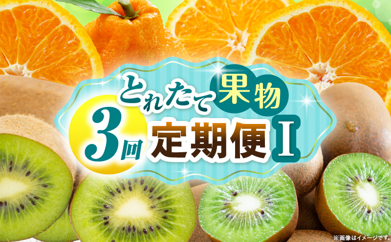 とれたて果物 3回定期便I 果物 フルーツ 果物定期便 フルーツ定期便 定期便キウイ デコポン濃厚 旬の果物 定期 人気 おすすめ 贈答 贈り物 青果物 糖度 香川県 _mk165-t073