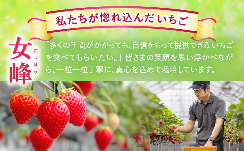 あぐりぼん　いちご「女峰」　詰め合わせ約1.4kg　（約700g×2箱）|いちご 果物 フルーツ デザート ストロベリー 果肉 スイーツ 甘い 国産 贈り物 贈答 プレゼント グルメ 人気 おすすめ 季節 旬 旬の果物 詰め合わせ 香川県 三木町 送料無料|_mk144-012