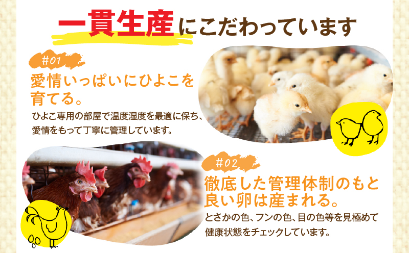 danranバラエティたまごセット　M4|卵 新鮮卵 オリーブEgg さくらたまご 平飼いたまご 白たまご 醤油 たまごかけ醤油 食べ比べ セット|_mk095-001