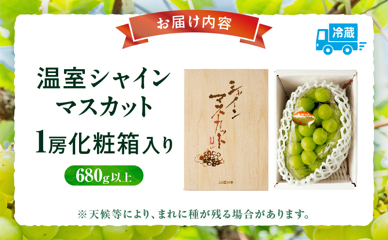 【先行受付】温室シャインマスカット 1房化粧箱入り(680g以上)  マスカット ハウス ぶどう ブドウ 葡萄 果物 フルーツ 人気 香川 香川県 三木町 種なし 皮ごと食べられる ジューシー 化粧箱 旬 おすすめ mk006-103