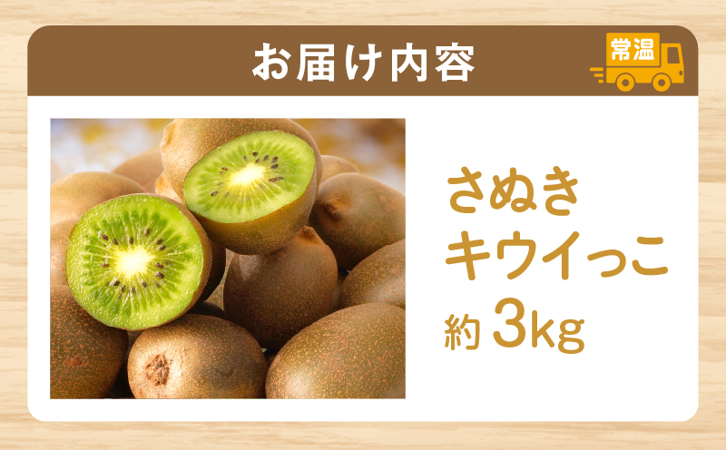 【先行受付】香川県オリジナルキウイフルーツ「さぬきキウイっこ」約3kg【香川県共通返礼品】  キウイ キウイフルーツ 果物 フルーツ 青果 青果物 さぬきキウイっこ 果実 贈答 贈り物 ギフト 甘い 糖度が高い 季節のフルーツ 旬 おすすめ 香川県 三木町 mk006-065