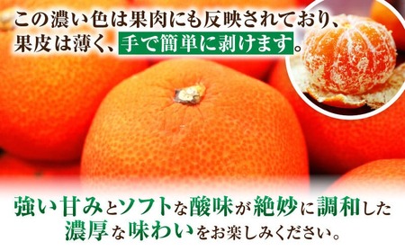 小原紅早生みかん　3.0kg | みかん 果物 デザート フルーツ お取り寄せ グルメ 柑橘 柑橘系 旬 旬の果物 家庭用 生鮮食品 贈り物 贈答 柑橘果物 おすすめ 人気 旬のみかん 季節 季節の果物 果汁 香川県 三木町 |_mk165-014