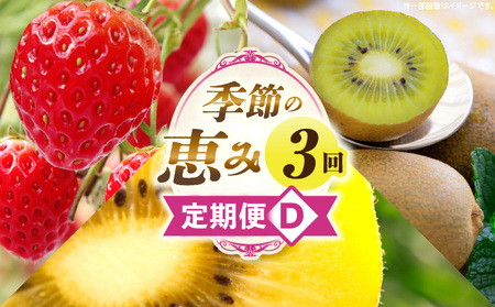 季節の恵み3回定期便D | 果物 フルーツ 青果 青果物 デザート スイーツ 果実 旬 季節 旬の果物 季節の果物 生鮮食品 生鮮 贈答 贈り物 ギフト プレゼント おすそ分け お祝い 内祝い ご褒美 人気 グルメ お取り寄せ 特産品 特産 国産 香川県 三木町 |_mk165-t019