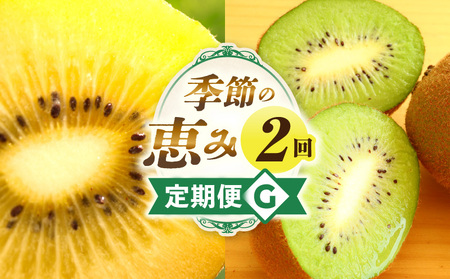 季節の恵み2回定期便G | 果物 フルーツ 定期便 フルーツ定期便 果物定期便 旬 旬の果物 旬のフルーツ 旬の定期便 果実 果汁 デザート スイーツ キウイ キウイフルーツ ゴールドキウイ 厳選 贈り物 贈答 ギフト ご褒美 香川県 三木町 |_mk165-t007