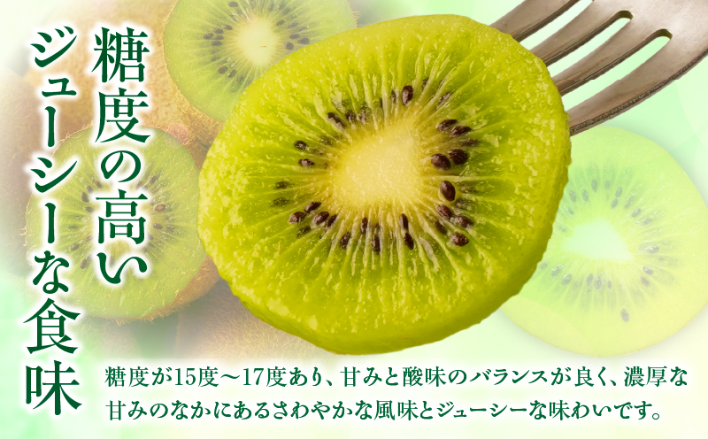 【先行受付】香川県オリジナルキウイフルーツ「香緑」約1.3kg 化粧箱【香川県共通返礼品】  キウイ フルーツ 果物 香川県 香緑 デザート サラダ ヨーグルト トッピング 国産 季節限定 青果物 旬 おすすめ mk006-068