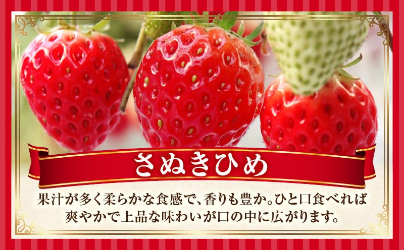 ”あえて”小粒いちご　極甘さぬき姫1,200g×2箱 | いちご 小粒 高級 さぬき姫 果物 フルーツ おすすめ 旬 イチゴ グルメ 季節 旬の果物 ギフト スイーツ パック 果実 贈り物 化粧箱 贈答用 デザート 人気 果肉 生鮮食品 国産 冷蔵 香川県 三木町 |_mk165-005