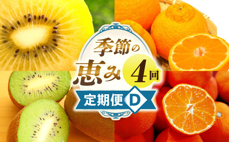 季節の恵み4回定期便D | 果物 フルーツ 青果 青果物 デザート スイーツ 果実 旬 季節 旬の果物 季節の果物 生鮮食品 生鮮 贈答 贈り物 ギフト プレゼント おすそ分け お祝い 内祝い ご褒美 人気 グルメ お取り寄せ 特産品 特産 国産 香川県 三木町 |_mk165-t028