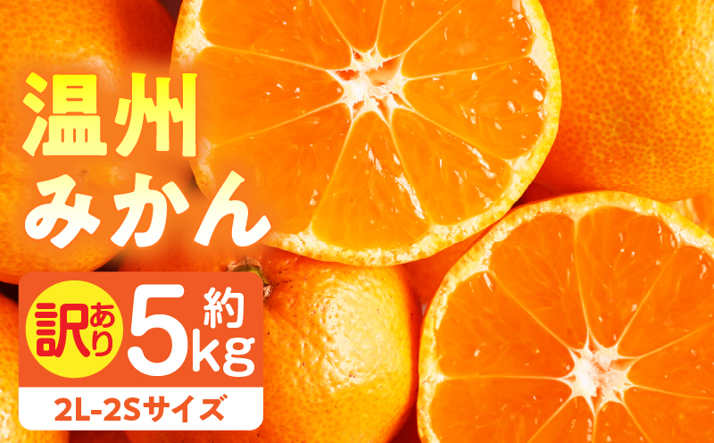 【先行受付】訳あり温州みかん約5kg（2L-2S） | みかん 温州みかん 果物 果実 訳あり 訳ありみかん 訳あり果物 訳ありフルーツ フルーツ 香川県 三木町 |_mk006-031