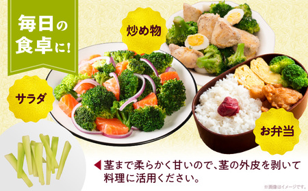 三木町産ブロッコリー 約2.2kg | ブロッコリー 野菜 食材 サラダ 料理 大きい 新鮮 生野菜 生鮮食品 栄養価が高い 冷蔵 おすすめ 香川県 三木町 |_mk006-037