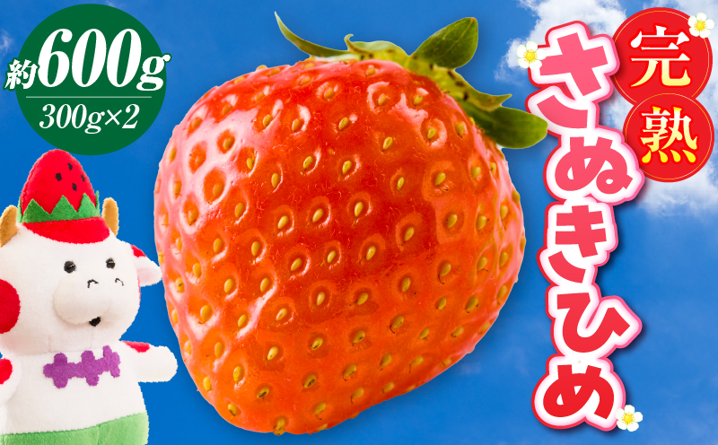 【先行予約】完熟さぬき姫 約600g | いちご 苺 さぬき姫 さぬきひめ 香川県オリジナル 希少 甘い 完熟 フルーツ 果物 旬 香川県 三木町 |_mk035-007