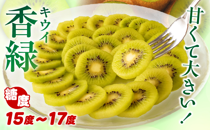 【先行受付】香川県オリジナルキウイフルーツ「香緑」約1.3kg 化粧箱【香川県共通返礼品】  キウイ フルーツ 果物 香川県 香緑 デザート サラダ ヨーグルト トッピング 国産 季節限定 青果物 旬 おすすめ mk006-068