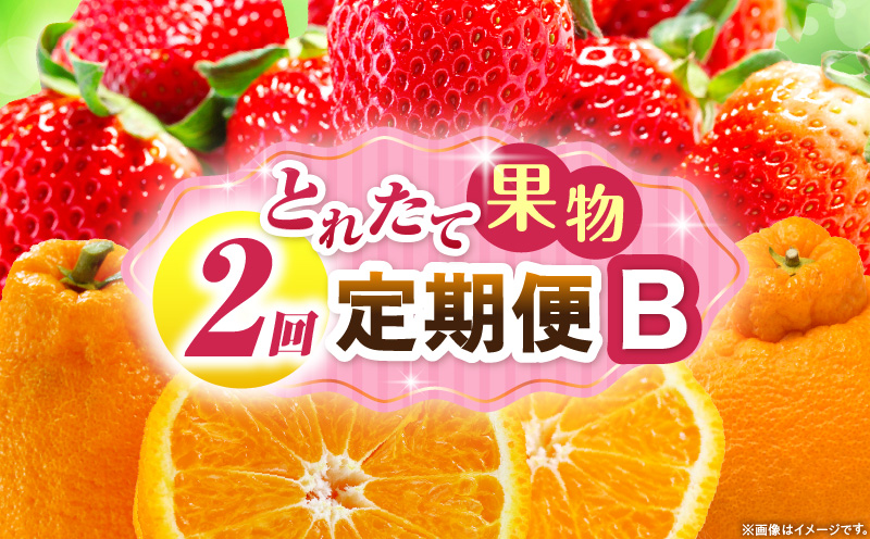 とれたて果物 2回定期便B 果物 フルーツ 果物定期便 フルーツ定期便 定期便 いちご デコポン濃厚 旬の果物 定期 人気 おすすめ 贈答 贈り物 青果物 糖度 香川県 _mk165-t052