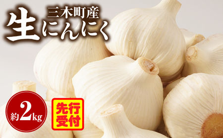 三木町産　生にんにく　約2kg にんにく ガーリック 肉厚 野菜 食材 国産 国産にんにく 薬味 調味 スタミナ 料理 贈答 贈り物 ギフト おすそ分け ストック 生鮮食品 食品 グルメ お取り寄せ おすすめ 特産 特産品 人気 自宅用 家庭用 香川県 三木町_mk006-039