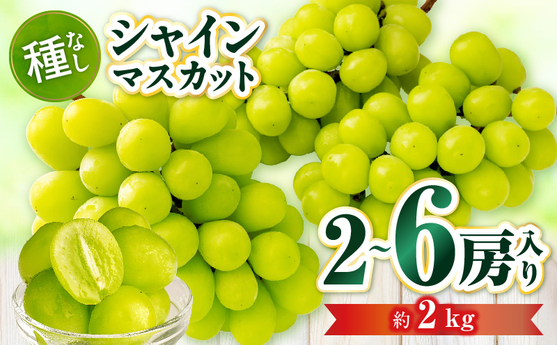 【先行受付】シャインマスカット 2〜6房入り(約2kg)  マスカット ぶどう ブドウ 葡萄 果物 フルーツ 人気 香川 香川県 三木町 種なし 皮ごと食べられる ジューシー 旬 おすすめ mk006-107