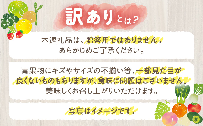 訳ありご家庭用さぬきゴールドキウイ約1kg【香川県共通返礼品】 | 果物 フルーツ さぬきゴールド キウイ キウイフルーツ フレッシュ ジューシー 香り 爽やか 旬の果物 人気 おすすめ 贈答 贈り物 青果物 糖度 香川県 三木町 |_mk006-095