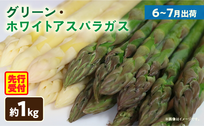 【先行予約】グリーン・ホワイトアスパラガス約1kg（6〜7月出荷） | ホワイトアスパラ アスパラガス グリーンアスパラ アスパラ 野菜 生野菜 夏野菜 直送 新鮮 おすすめ 柔らかい 香川県 三木町 |_mk002-004