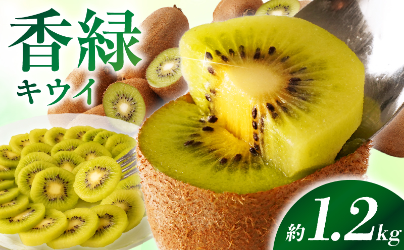 【先行受付】香川県オリジナルキウイフルーツ「香緑」約1.2kg（8-13玉）【香川県共通返礼品】 キウイ フルーツ 果物 香川県 香緑 デザート サラダ ヨーグルト トッピング 国産 季節限定 青果物 旬 おすすめ mk006-067