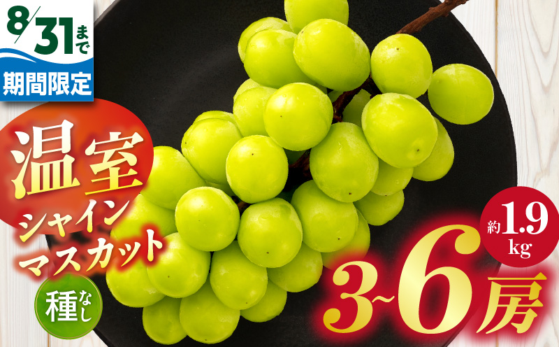 【8月31日（夏休み）までの期間限定価格!!】温室シャインマスカット　約1.9kg | シャインマスカット マスカット ぶどう ブドウ 葡萄 果物 フルーツ 期間限定 新鮮 くだもの 国産 ギフト お裾分け 旬 人気 種なし 皮ごと食べられる ジューシー 糖度が高い 先行受付 先行予約 季節限定 おすすめ 旬の果物 香川 香川県 三木町 |_mk006-131