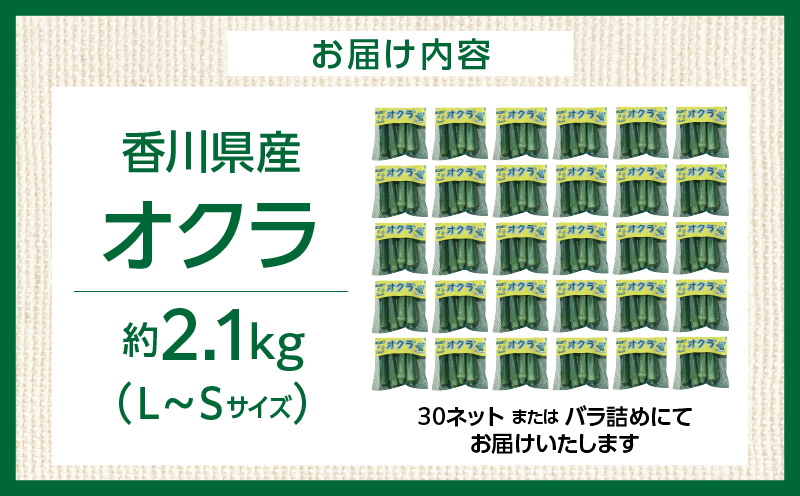 オクラ 約2.1kg |オクラ 野菜 ネバネバ 旬の野菜 旬 季節の野菜 季節 贈答 贈り物 ギフト プレゼント おすそ分け グルメ お取り寄せ 人気 おすすめ 特産 特産品 生鮮食品 香川県 三木町 |_mk006-123