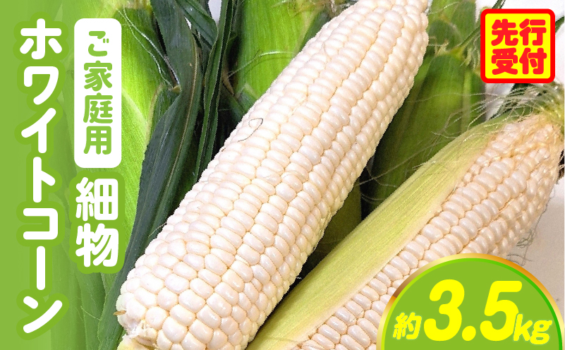 【先行予約】【訳あり】ご家庭用細物ホワイトコーン約3.5kg | とうもろこし 野菜 コーン 旬の野菜 旬 季節の野菜 季節 贈答 贈り物 ギフト プレゼント おすそ分け グルメ お取り寄せ 人気 おすすめ 特産 特産品 生鮮食品 香川県 三木町 |_mk006-058