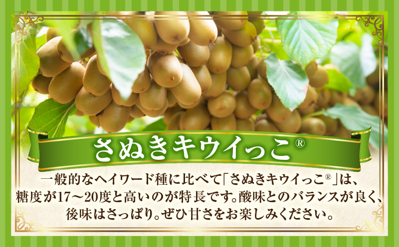 ãã€ã¶ã§ã¡ã
ããããã¬ãããŠã€ã£ã çŽ1.2kg |æç© ãã«ãŒã ãã¬ã ããŠã€ã£ã ããŠã€ãã«ãŒã ã°ãªãŒã³ ããŠã€ å°ãã æ¿å ãã¬ãã·ã¥ ãžã¥ãŒã·ãŒ éŠã çœãã æ¬ã®æç© äººæ° ãããã èŽç èŽãç© éæç© ç³åºŠ éŠå·ç äžæšçº |_mk165-020