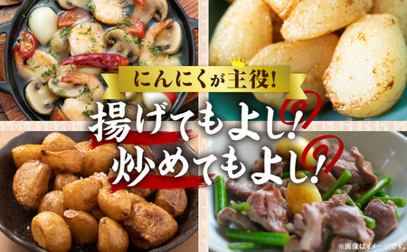 三木町産訳あり生にんにく 約1.5kg | にんにく 生にんにく ニンニク 訳あり 訳あり返礼品 訳あり品 野菜 新鮮 生野菜 香り豊か 栄養価が高い 肉厚 生 料理 スタミナ料理 家庭用 自宅用 香川県 三木町 |_mk006-044