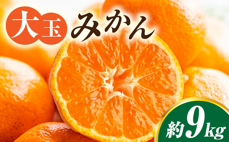 【先行受付】大玉みかん約9kg | 大玉みかん 大玉 みかん ミカン 蜜柑 オレンジ 柑橘 柑橘系 果物 フルーツ 青果 おすすめ お取り寄せ ギフト 香川県 三木町 |_mk006-036