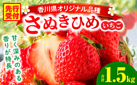 三木町地域いちご部会「さぬきひめ」1.5kg |いちご 苺 イチゴ さぬき姫 さぬきひめ 希少 甘い スイーツ ストロベリー 冷蔵 1kg以上 旬 果物 フルーツ 青果物 香川県 香川県オリジナルデザート おすすめ|_mk006-012