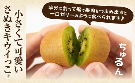 ããŠã€ãã«ãŒã(ãã¬ãããŠã€ã£ãR)ã1.8kg | ããŠã€ ãã«ãŒã æç© æ¬ æ¬ã®æç© ããŠã€ãã«ãŒã ãã¶ãŒã çé®®é£å èŽãç© èŽç ã裟åã ãããã äººæ° ã®ãã ã°ã«ã¡ ç¹ç£å æè å£ç¯ å£ç¯ã®æç© éŠå·ç äžæšçº |_mk165-008