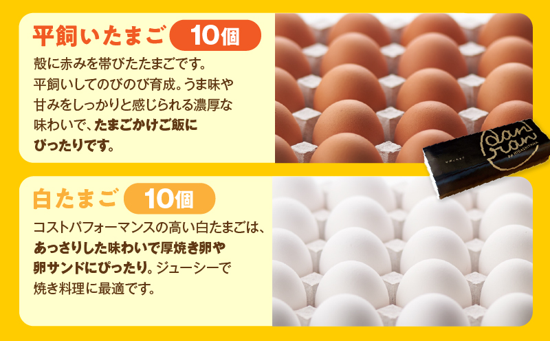 danranバラエティたまごセット　M4|卵 新鮮卵 オリーブEgg さくらたまご 平飼いたまご 白たまご 醤油 たまごかけ醤油 食べ比べ セット|_mk095-001