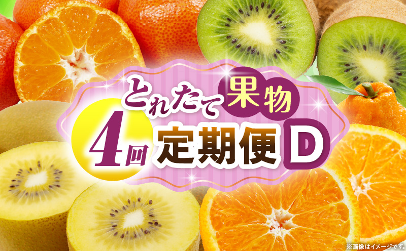とれたて果物 4回定期便D 果物 フルーツ 果物定期便 フルーツ定期便 定期便 キウイ デコポン みかん 濃厚 旬の果物 定期 人気 おすすめ 贈答 贈り物 青果物 糖度 香川県 _mk165-t077