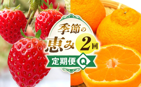 季節の恵み2回定期便Q | 果物 フルーツ 青果 青果物 デザート スイーツ 果実 旬 季節 旬の果物 季節の果物 生鮮食品 生鮮 贈答 贈り物 ギフト プレゼント おすそ分け お祝い 内祝い ご褒美 人気 グルメ お取り寄せ 特産品 特産 国産 香川県 三木町 |_mk165-t036