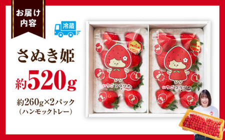 超高級大粒いちご　極甘さぬき姫260g×2パック(ハンモックトレー) | いちご 大粒 高級 さぬき姫 果物 フルーツ おすすめ 旬 イチゴ 季節 旬の果物 ギフト パック 果実 贈り物 デザート 人気 果肉 生鮮食品 国産 冷蔵 香川県 三木町 |_mk165-002
