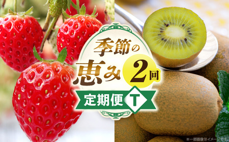 季節の恵み2回定期便T | 果物 フルーツ 青果 青果物 デザート スイーツ 果実 旬 季節 旬の果物 季節の果物 生鮮食品 生鮮 贈答 贈り物 ギフト プレゼント おすそ分け お祝い 内祝い ご褒美 人気 グルメ お取り寄せ 特産品 特産 国産 香川県 三木町 |_mk165-t039