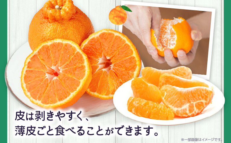 貯èµãã³ãã³çŽ5kg(12ïœ24ç)ãéŠå·çå
±éè¿ç€Œåã | ãã³ãã³ çã é
žå³ ææ© ææ©ç³» ãªã¬ã³ãž æç© ãã«ãŒã éæ ãã¶ãŒã ãããã åãå¯ã éŠå·ç äžæšçº |_mk006-043