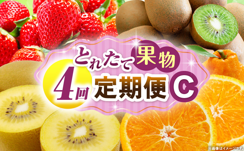 とれたて果物 4回定期便C 果物 フルーツ 果物定期便 フルーツ定期便 定期便 いちご キウイ デコポン濃厚 旬の果物 定期 人気 おすすめ 贈答 贈り物 青果物 糖度 香川県 _mk165-t076
