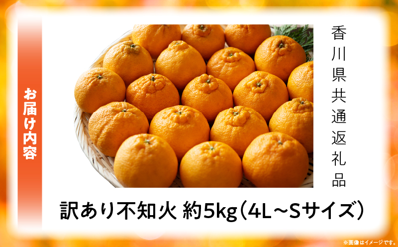 【先行予約】訳あり不知火約5kg【香川県共通返礼品】 | 果物 フルーツ 不知火 しらぬい フレッシュ ジューシー 香り 爽やか 旬の果物 人気 おすすめ 訳あり 生産者応援 青果物 糖度 香川県 三木町 |_mk006-111